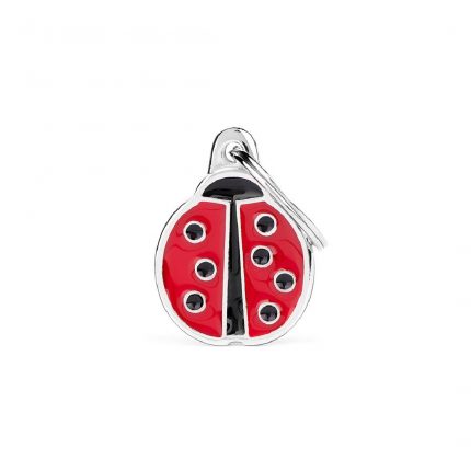 MY FAMILY LADYBUG