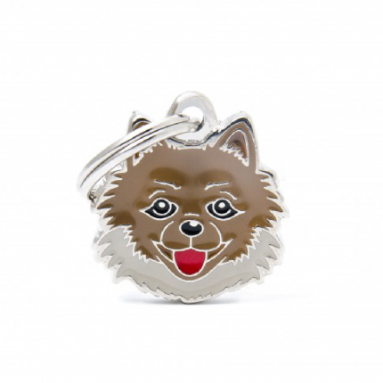 MY FAMILY POMERANIAN