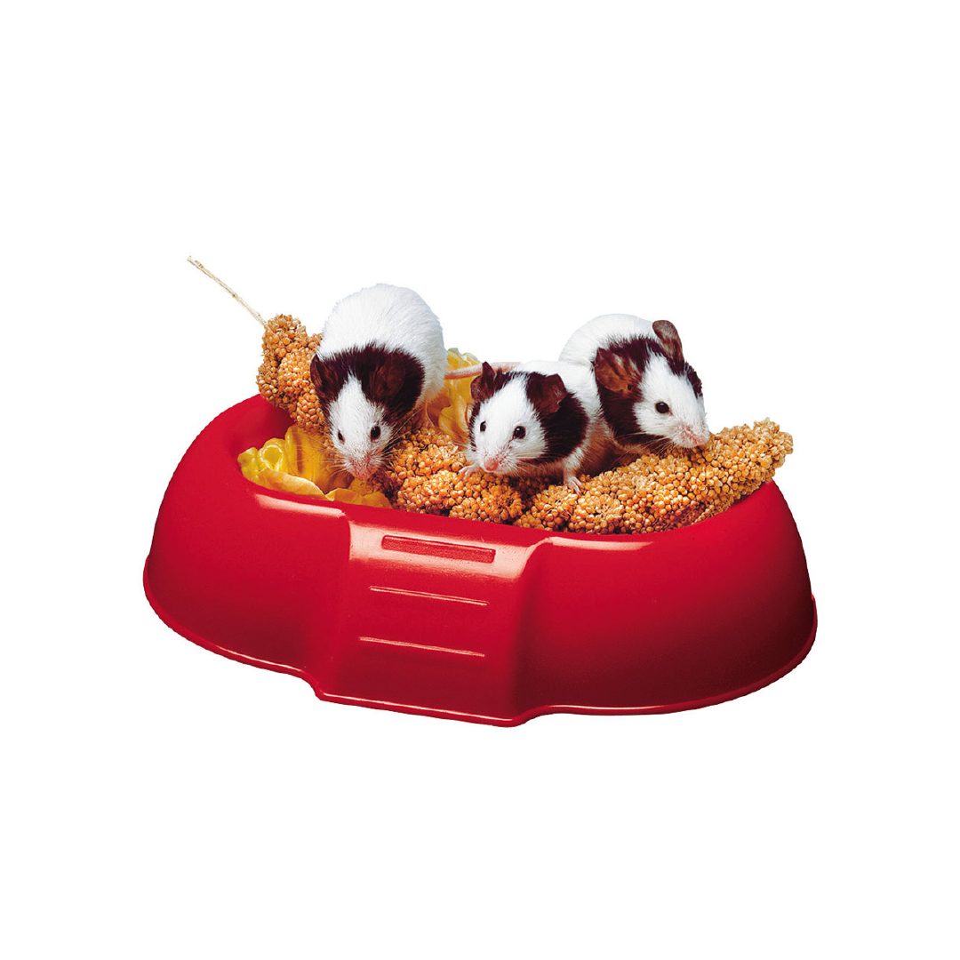 4706799 FP PLATO DE ALIMENTO PARA HAMSTER, DADA, 16.5x11.5x3.5h cm - Imagen 1