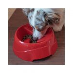 FP PLATO COMIDA LENTA LARGE, 1500 ml - Imagen 4