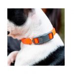 FP COLLAR EVOLUTION, 23-32 cm/16 mm, C16/32, NARANJO - Imagen 5