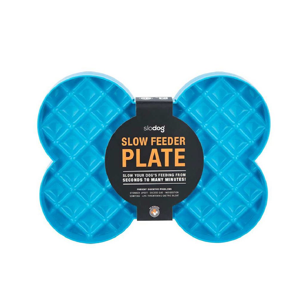 SD6009TQ (1) LM SLODOG SLOW FEEDER PLATE, TURQUOISE - Imagen 1