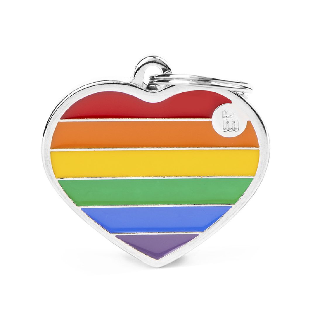 BH54H (1) MY FAMILY LARGE HEART RAINBOW - Imagen 1