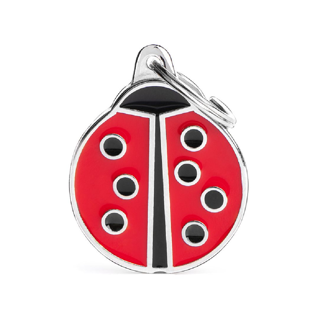 CH02BIG (1) MY FAMILY BIG LADYBUG - Imagen 1