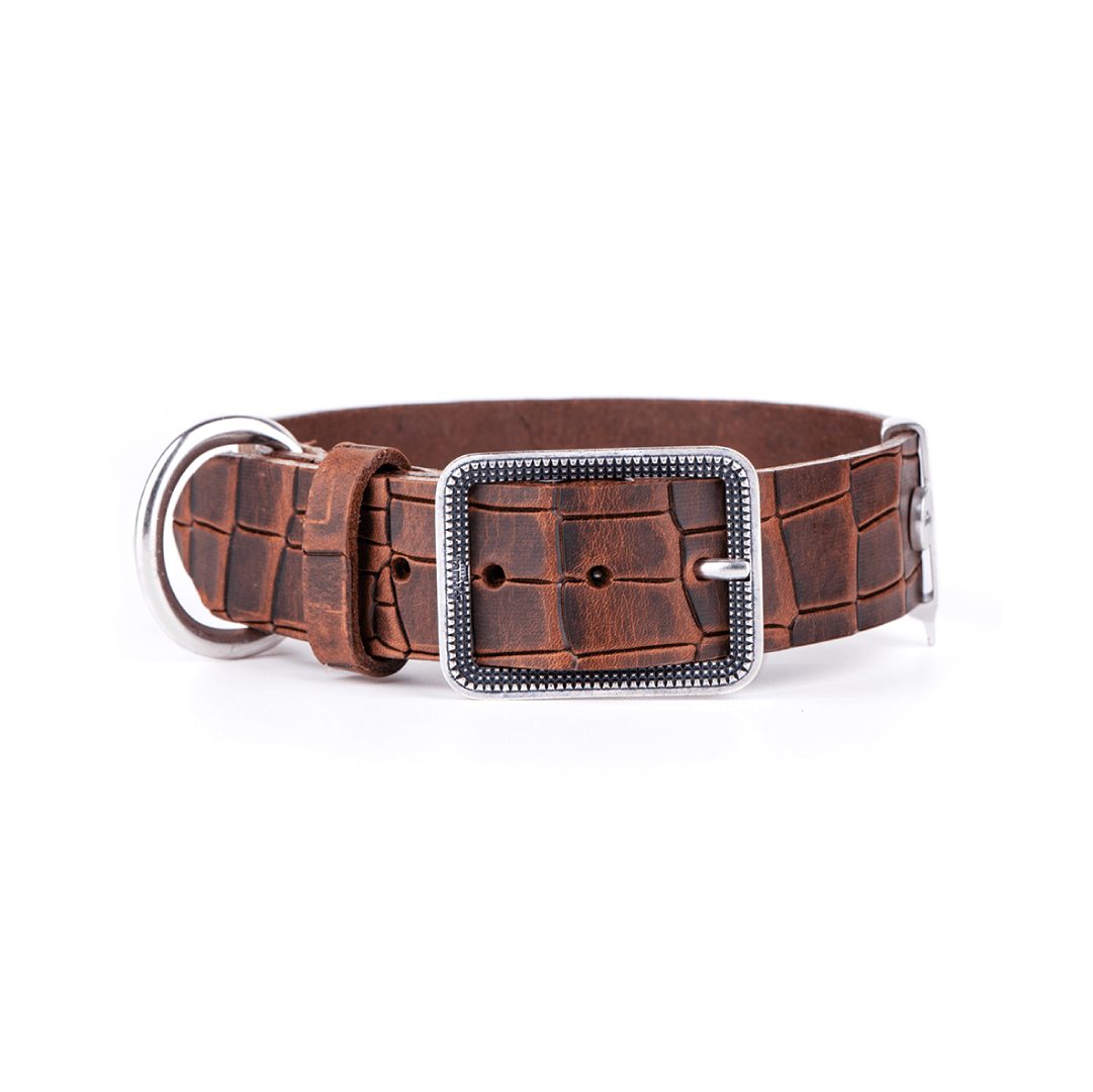 MF1066 (1) MF COLLAR TUCSON, CUERO CAFE, 37/50-2,8 cm / LG - Imagen 1