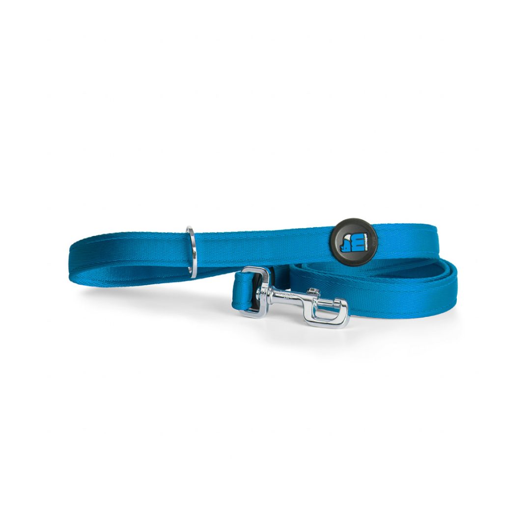 MF7533 (1) MF MEMOPET CORREA NYLON AZUL, LG - Imagen 1